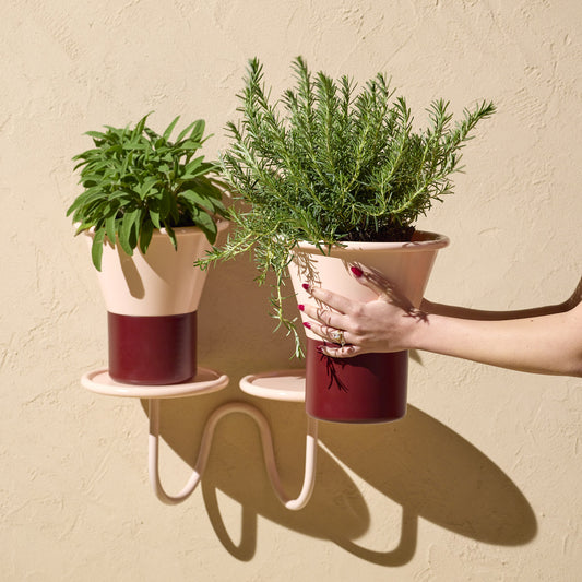 portavaso mimosa muro rosa vaso