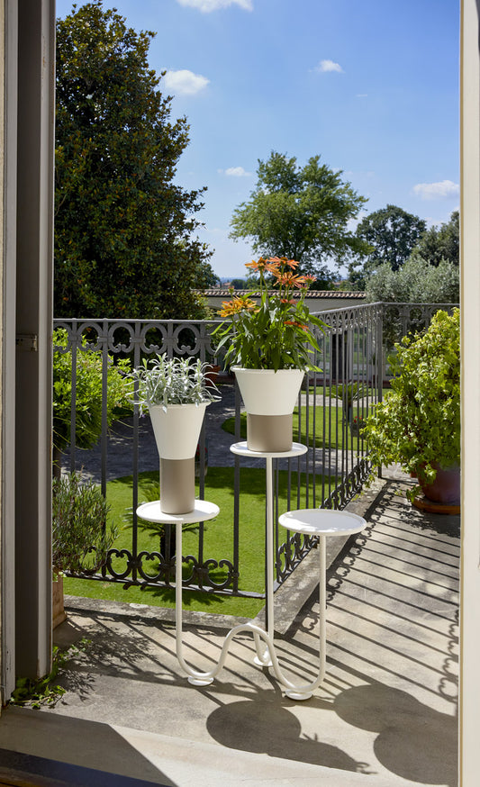 portiapiante mimosa da terra scab balcone