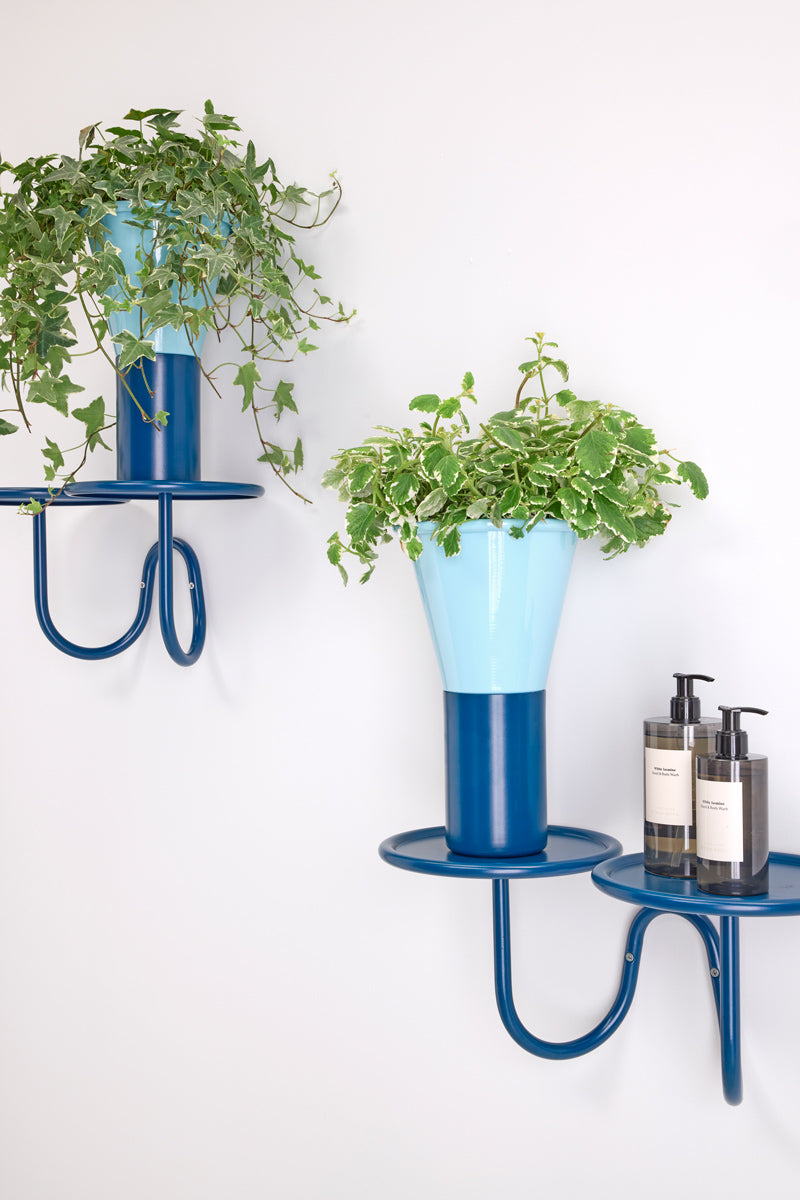 portavaso mimosa muro blu