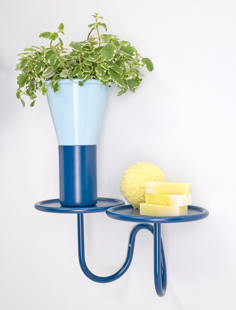 vaso mimosa 31