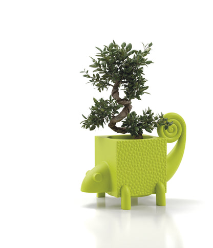 Contenitore multifunzione vaso portaoggetti designda esterno Fera Cama Lyxo verde tormalina camaleonte Genco Outdoor